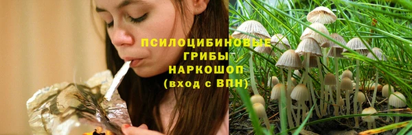 гидропоника Алексеевка