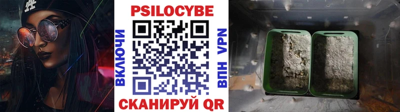 Псилоцибиновые грибы MAGIC MUSHROOMS Богданович